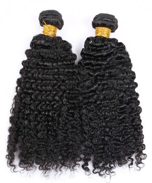 CARA Brazilian Kinky Curly Virgin Hair Weave Human Hair Bundles 2 Pcs