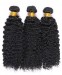 CARA Brazilian Kinky Curly Virgin Hair Weave Human Hair Bundles 2 Pcs