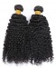 CARA Brazilian Kinky Curly Virgin Hair Weave Human Hair Bundles 2 Pcs