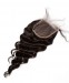 CARA Brazilian Remy Human Hair  4x4 Cuticle Aligned Hair Loose Wave Lace Closure