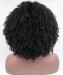 CARA Afro Kinky Curly Synthetic Wig Lace Front Wig For Black Women