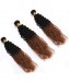 CARA Ombre Human Hair Bundles 3 Pcs Afro Kinky Curly Hair Bundles 1B/30  