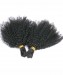 Human Braiding Hair Bulk No Attachment Mongolian Afro Kinky Curly Crochet Braids