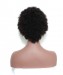 Afro Curly Lace Front Wig For Black Women 6 inch