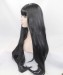 CARA Black Long Straight Lace Front Wig Synthetic Wig With Bang