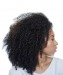 Mongolian Afro Kinky Curly Wig Lace Front Human Hair Wigs For Women Natural Color Pre-Plucked 130% Density Remy Wig 