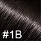 #1B